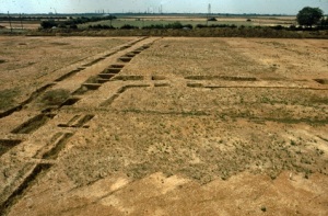 Flag Fen boundary ditches