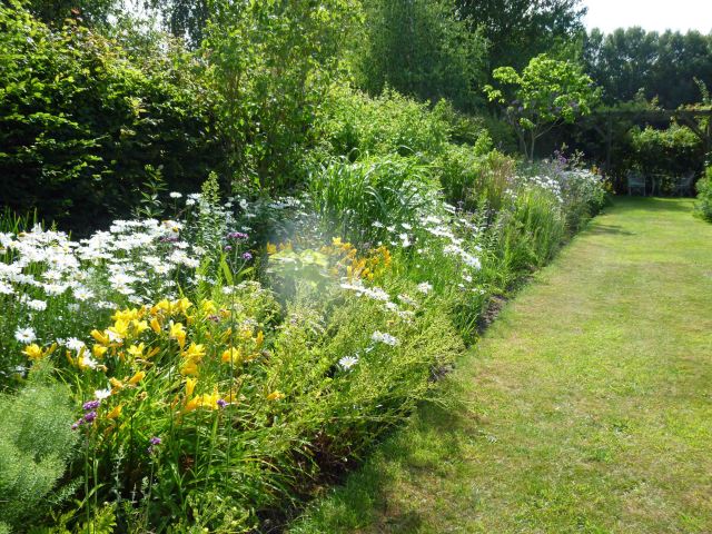 One side of our own mixed (shrubs and herbaceous perennials) double border.