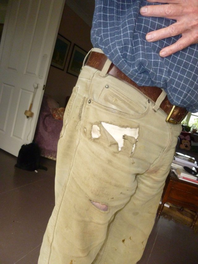The last picture of my trousers: eloquent witnesses to the ravages of time and the shepherd’s life. Farewell, old friends.