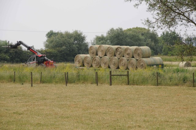 The grass had grown well before the dryness started in April and early May and there was an excellent crop of hay which was cut, turned and baled in just four days.